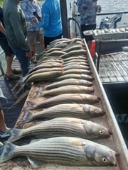 Fishing in Kingston, Oklahoma