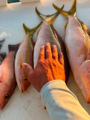 Fishing in Placida, Florida