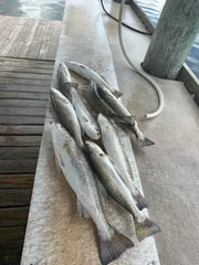 Fishing in Rockport, Texas