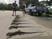 Hunting in Fort Lauderdale, Florida