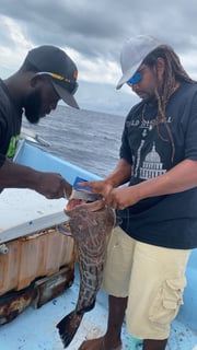 Fishing in Caye Caulker, Belize