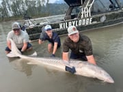 Fishing in Fraser Valley, Canada