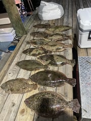 Fishing in Galveston, Texas
