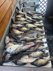 Fishing in Jasper, Texas