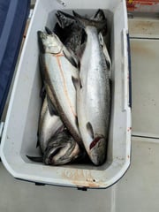 Fishing in Rochester, New York