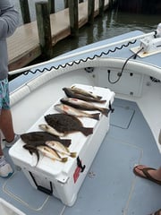 Fishing in Gulf Shores, Alabama