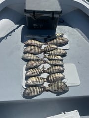Fishing in Saint James City, Florida
