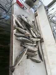 Fishing in Delacroix, Louisiana