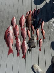 Fishing in Panama City, Florida