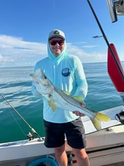 Fishing in Sarasota, Florida