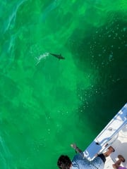 Fishing in Santa Rosa Beach, Florida