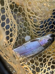 Fishing in Broken Bow, Oklahoma