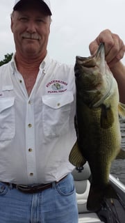 Fishing in Alba, Texas