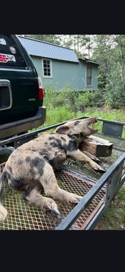 Hunting in DeFuniak Springs, Florida