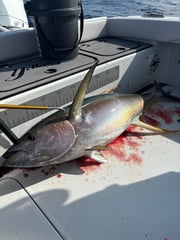 Fishing in Ocean Springs, Mississippi