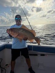 Fishing in Sarasota, Florida