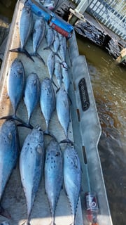 Fishing in Myrtle Beach, South Carolina