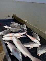 Fishing in Port O'Connor, Texas