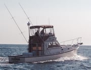Fishing in Montauk, New York