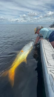 Fishing in Punta Gorda, Florida