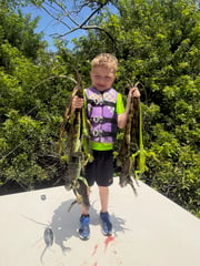 Hunting in Fort Lauderdale, Florida