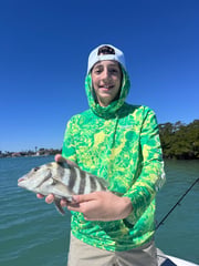 Fishing in Sarasota, Florida
