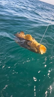 Fishing in Clearwater, Florida