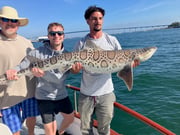 Fishing in San Diego, California