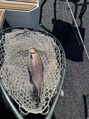 Fishing in Heber Springs, Arkansas
