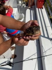 Fishing in Savannah, Georgia