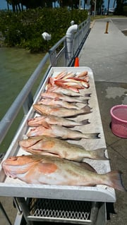 Fishing in Clearwater, Florida