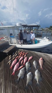 Fishing in Panama City, Florida