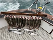Fishing in Kenosha, Wisconsin