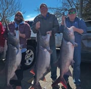 Fishing in Osage Beach, Missouri