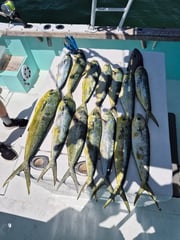 Fishing in Destin, Florida
