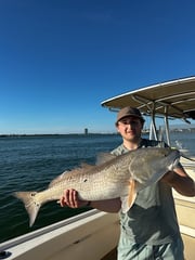 Fishing in Sarasota, Florida