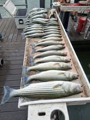Fishing in Kingston, Oklahoma