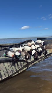 Hunting in Santa Rosa Beach, Florida