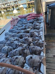 Fishing in Gulf Shores, Alabama