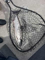 Fishing in Portland, Oregon
