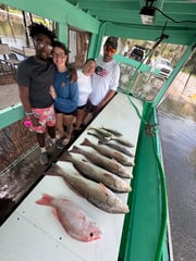 Fishing in Yankeetown, Florida