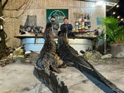 Hunting in Eastpoint, Florida