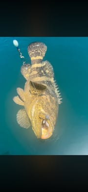 Fishing in Clearwater, Florida