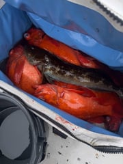 Fishing in Ventura, California