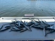 Fishing in Foley, Alabama