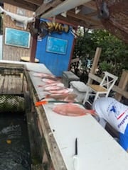 Fishing in Key West, Florida