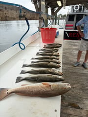 Fishing in Orange Beach, Alabama
