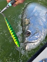 Fishing in Yankeetown, Florida