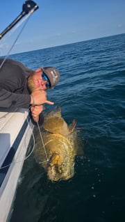 Fishing in Clearwater, Florida