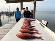 Fishing in Gulf Shores, Alabama